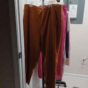 🍓Dalia Women's Orange Pants